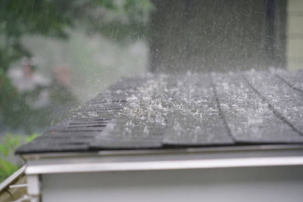 Best Commercial Roofing Services  in San Felipe, TX