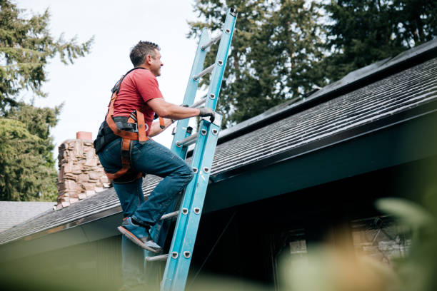 Best Roofing for New Construction  in San Felipe, TX