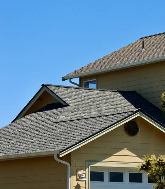 Best Roof Maintenance and Cleaning  in San Felipe, TX